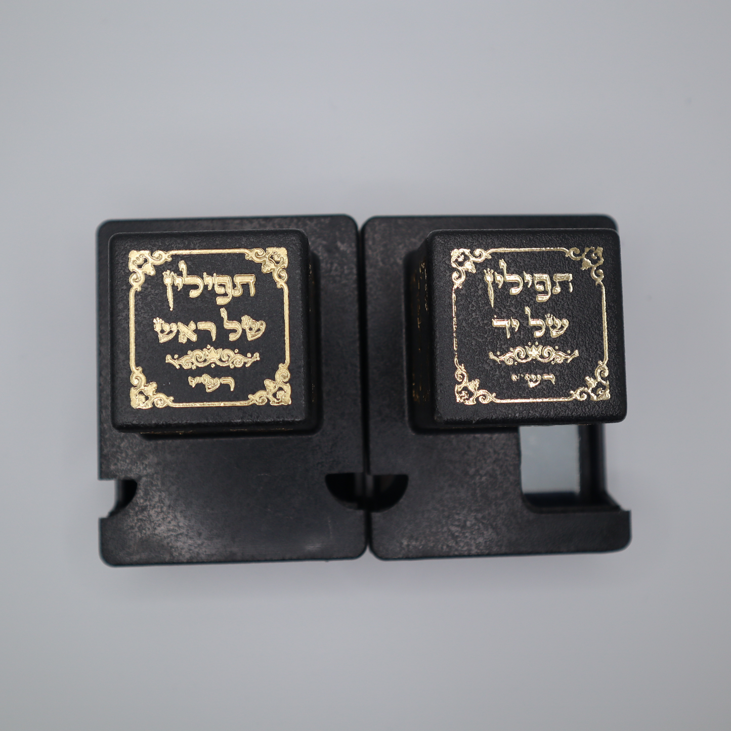 Tefillin with Parshiot