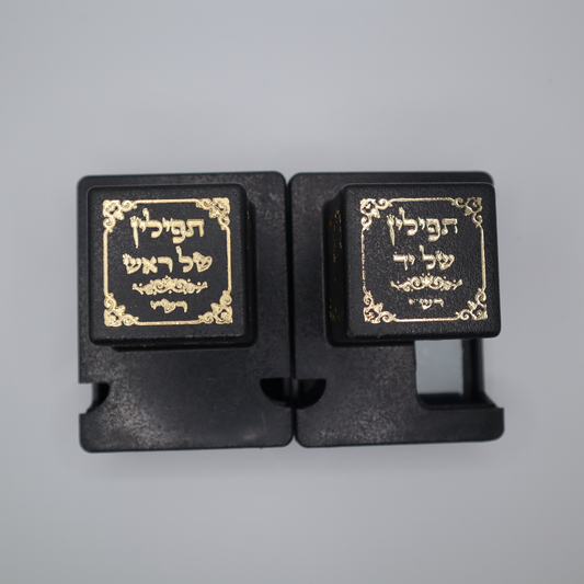 Tefillin with Parshiot